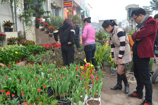 Chợ hoa Hoàng Hoa Thám rực rỡ, náo nhiệt ngày cận Tết - Ảnh 9.