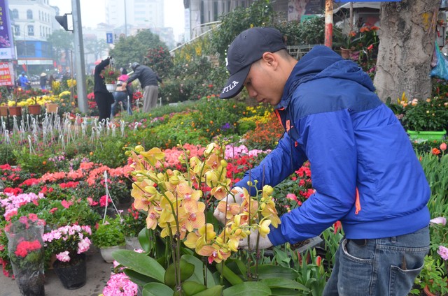 Chợ hoa Hoàng Hoa Thám rực rỡ, náo nhiệt ngày cận Tết - Ảnh 10.