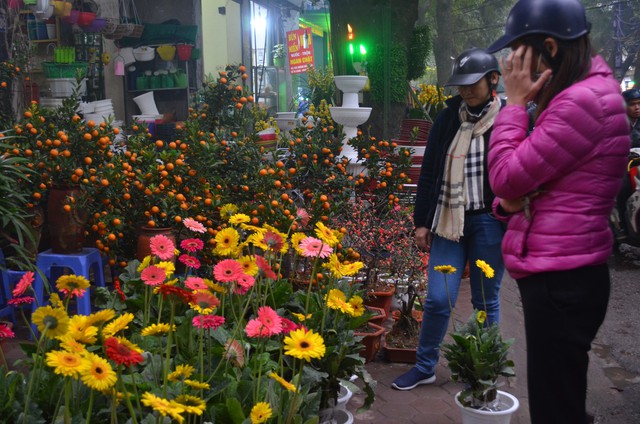 Chợ hoa Hoàng Hoa Thám rực rỡ, náo nhiệt ngày cận Tết - Ảnh 14.
