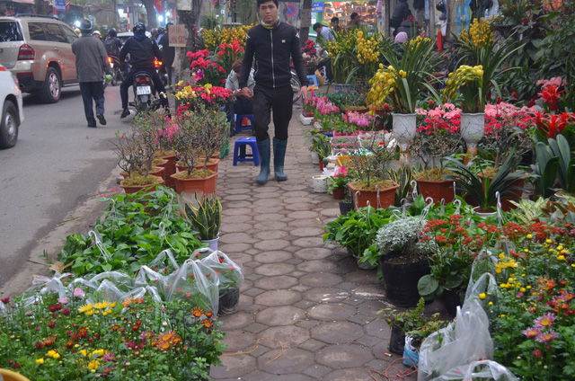 Chợ hoa Hoàng Hoa Thám rực rỡ, náo nhiệt ngày cận Tết - Ảnh 18.