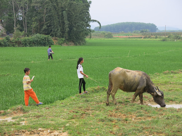 Bố bị bệnh, cả gia đình sống chật vật trong căn nhà lá cọ - Ảnh 6.