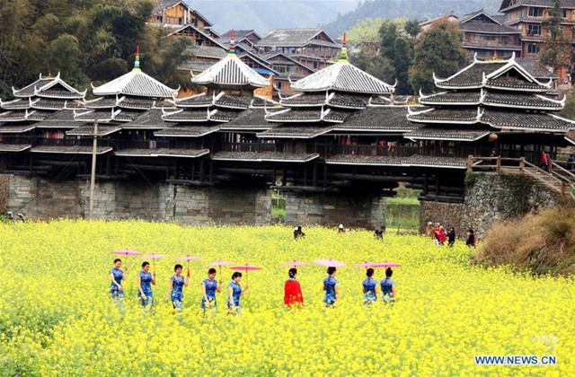 Mùa hoa nở Trung Quốc thu hút hàng ngàn khách du lịch - Ảnh 12.