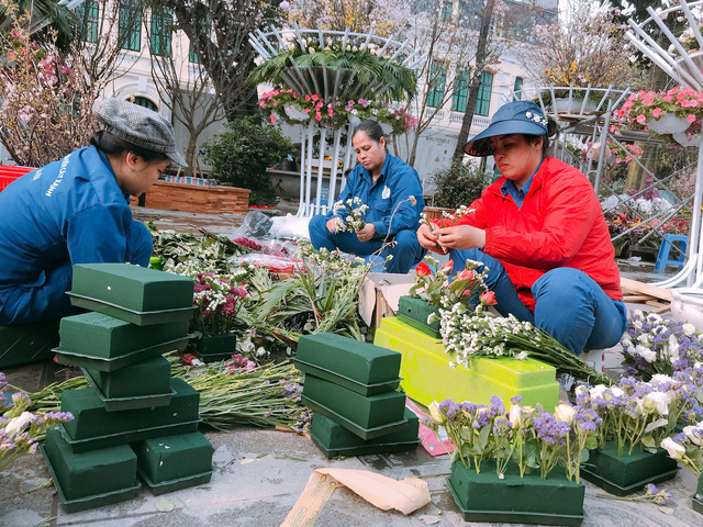  Lễ hội hoa anh đào Nhật Bản 2018: Trăm hoa khoe sắc trước giờ khai mạc - Ảnh 7.