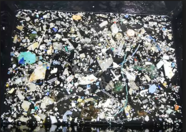 Đảo rác khổng lồ ở Thái Bình Dương lớn hơn 16 lần so với ước tính - Ảnh 2.