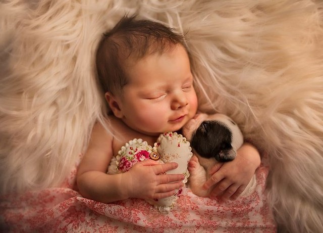 Mê mẩn bộ ảnh tuyệt đẹp chụp em bé với thú cưng - Ảnh 11.