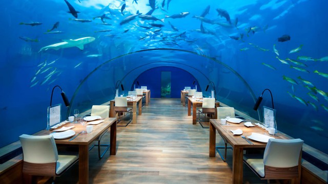 Khu resort dưới nước độc đáo nhất tại Maldives sẽ mở cửa trong năm nay - Ảnh 7.