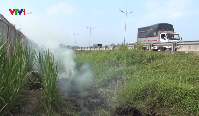 Bất chấp nguy hiểm, người dân vô tư đốt cỏ ven cao tốc TP.HCM - Trung Lương - Ảnh 2.