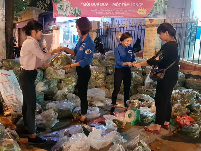 Sinh viên tình nguyện “giải cứu” hàng chục tấn dưa chuột giúp nông dân miền Trung - Ảnh 5.