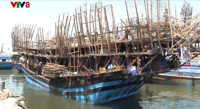 Tàu cá Đà Nẵng cứu tàu mực Quảng Ngãi cùng 49 thuyền viên gặp nạn trên biển - Ảnh 1.