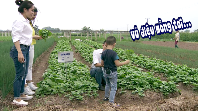 Cùng giọng ca Sao mai 2006 – Cẩm Tú khám phá trang trại rau sạch ăn ngay tại vườn - Ảnh 2.