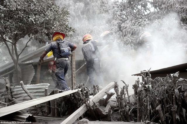 Núi lửa Guatemala phun trào: 52 nạn nhân chưa được xác định danh tính - Ảnh 3.