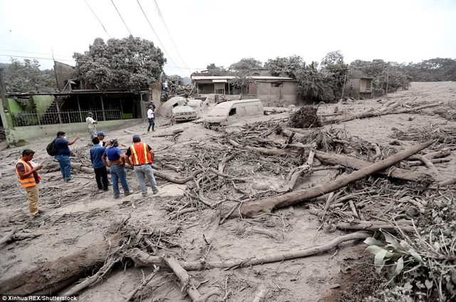 Núi lửa Guatemala phun trào: 52 nạn nhân chưa được xác định danh tính - Ảnh 2.
