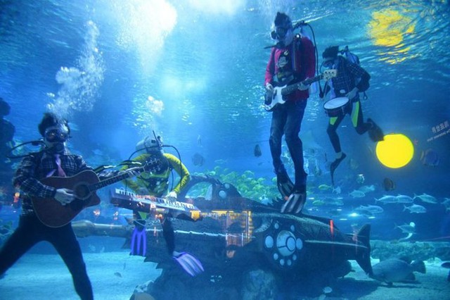 Lễ hội âm nhạc dưới nước nâng cao nhận thức bảo vệ rạn san hô - Ảnh 6.