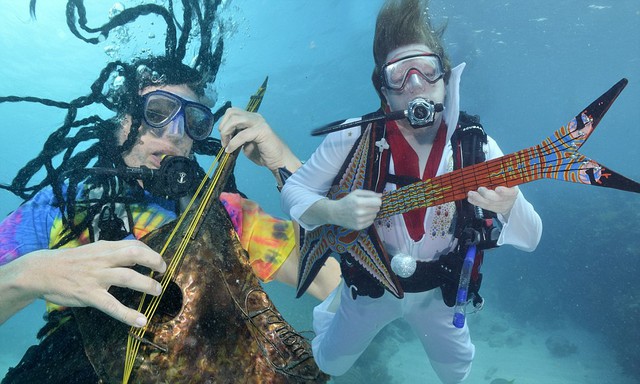 Lễ hội âm nhạc dưới nước nâng cao nhận thức bảo vệ rạn san hô - Ảnh 5.