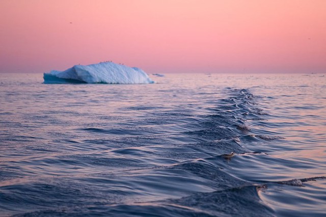 Ngắm vẻ đẹp siêu thực của vịnh băng Ilulissat - Ảnh 10.