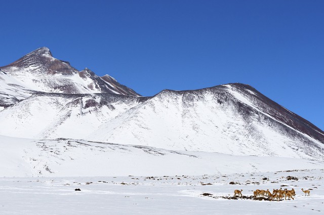 Hy hữu tuyết rơi trên sa mạc khô cằn nhất thế giới - Ảnh 3.