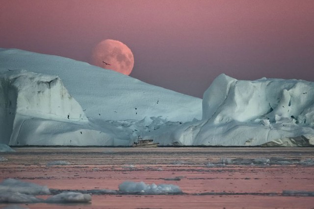 Ngắm vẻ đẹp siêu thực của vịnh băng Ilulissat - Ảnh 3.