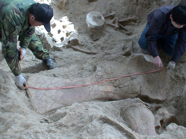 Tìm thấy loài khủng long mới ở Trung Quốc - Ảnh 1.
