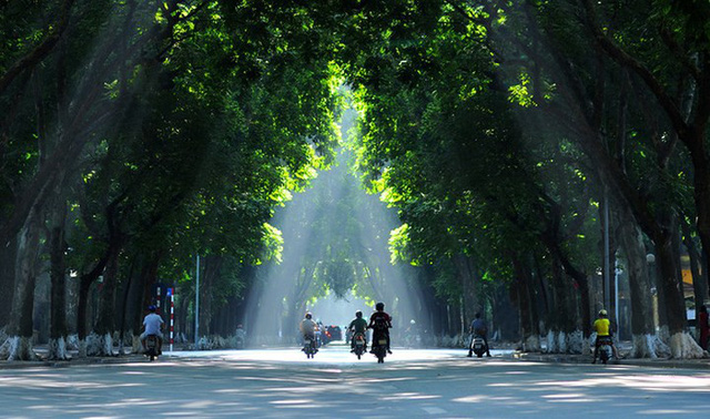 Những không gian xanh tránh nóng ngày hè ở Hà Nội - Ảnh 4.