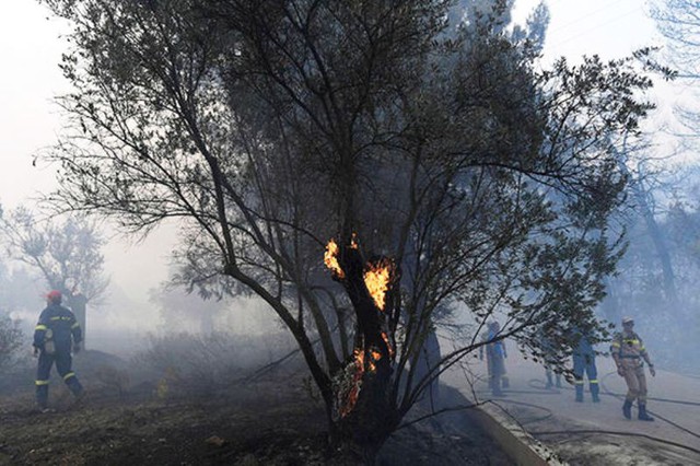 Hy Lạp ban bố tình trạng khẩn cấp vì cháy rừng - Ảnh 1.