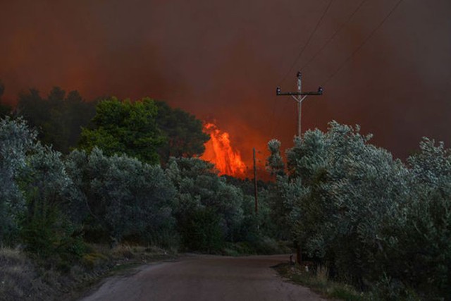 Hy Lạp ban bố tình trạng khẩn cấp vì cháy rừng - Ảnh 2.