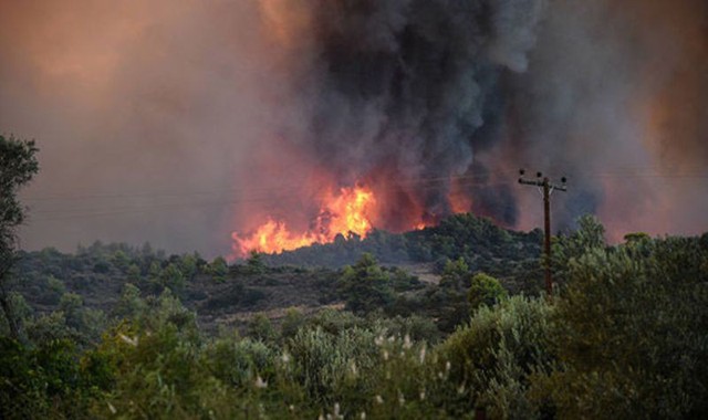 Hy Lạp ban bố tình trạng khẩn cấp vì cháy rừng - Ảnh 3.