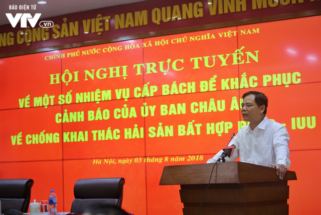 Triển khai tổng thể các giải pháp nhằm tháo gỡ “thẻ vàng” của EC cho thủy sản Việt Nam - Ảnh 1.