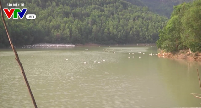 30 hồ chưa thuỷ lợi ở Quảng Nam mất an toàn trước mùa mưa bão - Ảnh 1.