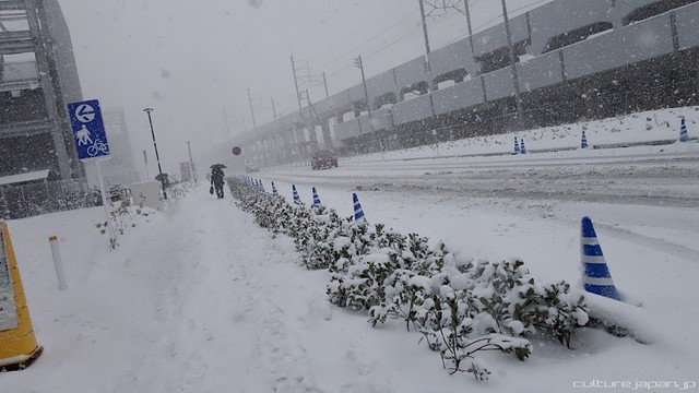 Đường sắt, máy bay hủy chuyến, tai nạn tăng vì tuyết dày ở Tokyo - Ảnh 2.