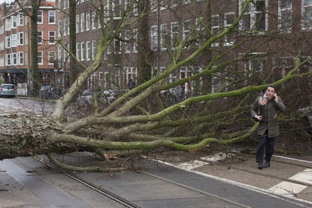 Giao thông ở nhiều nước tê liệt do bão Friederike - Ảnh 2.