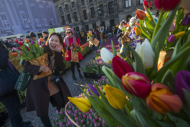 Hàng nghìn bông hoa rực rỡ sắc màu trong Ngày Quốc gia Hoa tulip ở Hà Lan - Ảnh 4.