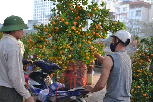 Ngày giáp Tết, mọi góc phố Hà Nội đều biến thành chợ hoa - Ảnh 5.