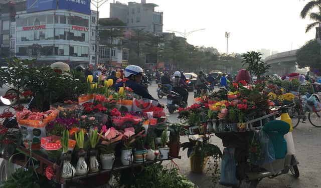 Ngày giáp Tết, mọi góc phố Hà Nội đều biến thành chợ hoa - Ảnh 12.