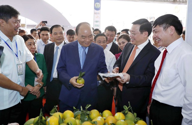 Thủ tướng Nguyễn Xuân Phúc dự Triển lãm thành tựu xây dựng nông thôn mới - Ảnh 1.