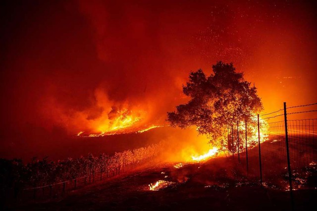 Cháy rừng khủng khiếp tại Mỹ, hàng ngàn người phải sơ tán khẩn cấp - Ảnh 1.