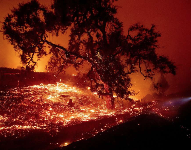 Cháy rừng khủng khiếp tại Mỹ, hàng ngàn người phải sơ tán khẩn cấp - Ảnh 4.