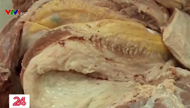 Phát hiện kho lạnh chứa thịt lợn nhiễm bệnh dịch tả lợn châu Phi tại Bình Phước - Ảnh 1.