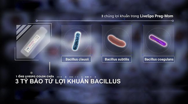 Lợi ích của bào tử lợi khuẩn Bacillus coagulans đối với trẻ bị rối loạn tiêu hóa - Ảnh 2.