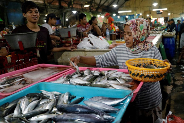 Indonesia xem xét xây dựng nhiều chợ hải sản quốc tế - Ảnh 1.