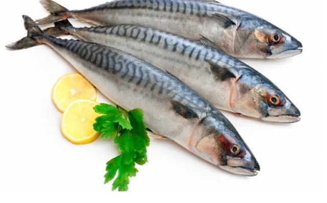 7 loại cá mà bạn nên hạn chế ăn - Ảnh 2.