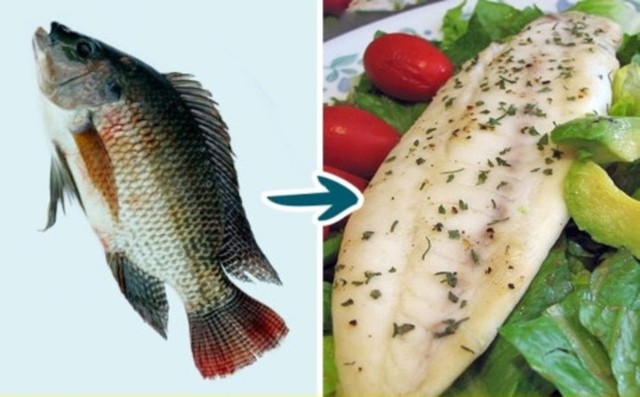 7 loại cá mà bạn nên hạn chế ăn - Ảnh 4.