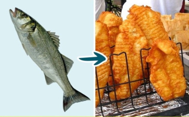 7 loại cá mà bạn nên hạn chế ăn - Ảnh 6.