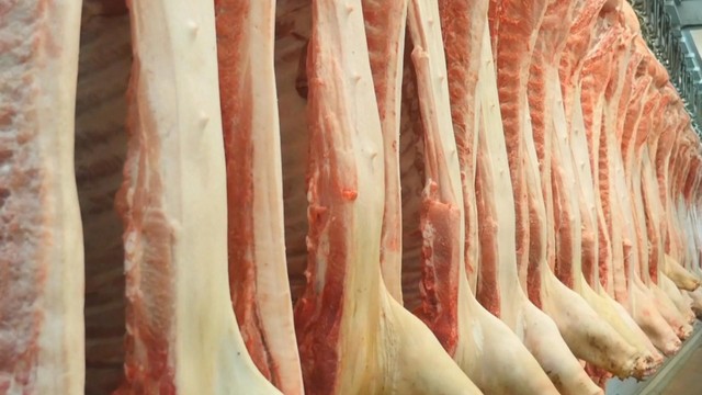 Trung Quốc đẩy mạnh nhập khẩu thịt lợn - Ảnh 1.