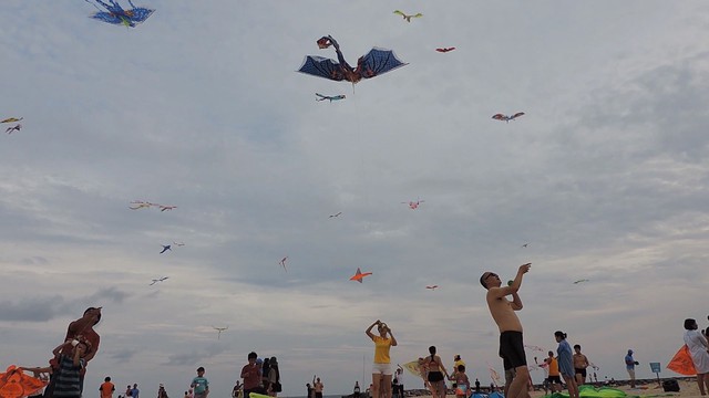 Lễ hội Thả diều tại biển Mũi Né, Bình Thuận - Ảnh 3.