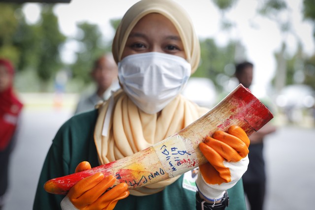 Malaysia thiêu hủy gần 4 tấn ngà voi - Ảnh 4.