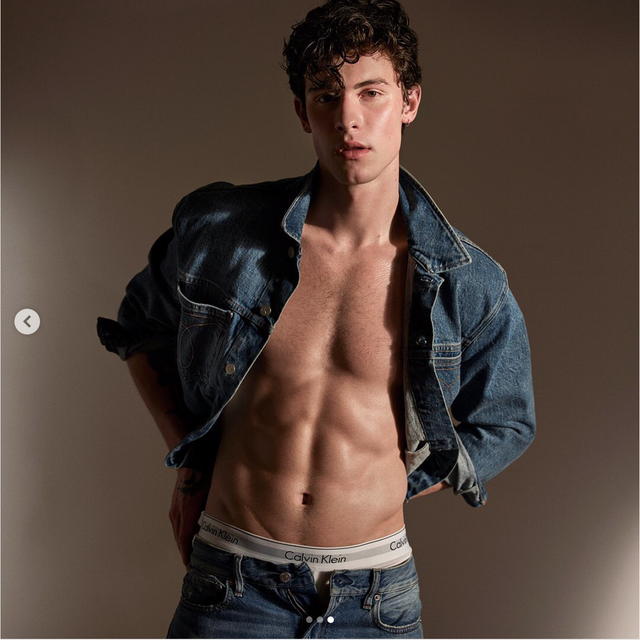 Shawn Mendes đẹp trai chết người trong quảng cáo mới của Calvin Klein - Ảnh 2.