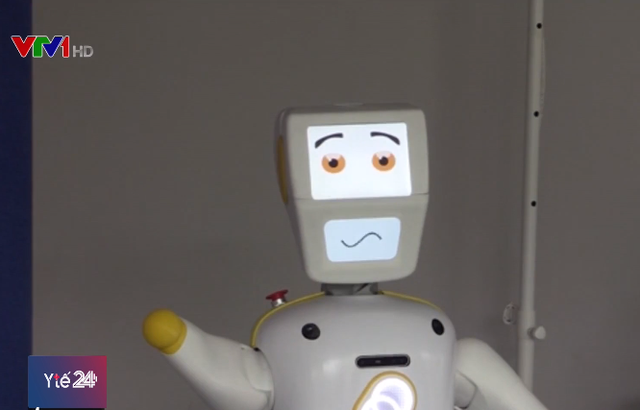 Ireland phát triển robot chống lại sự cô đơn của người già - Ảnh 2.