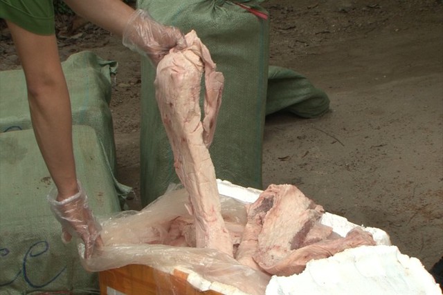 Lạng Sơn: Bắt giữ hơn 400kg nầm lợn thối - Ảnh 1.