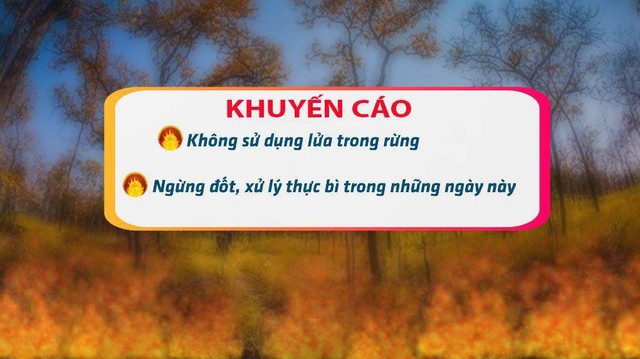 Hà Nội nắng nóng 39 độ, Trung Bộ cảnh báo cháy rừng ở mức cực kỳ nguy hiểm - Ảnh 1.