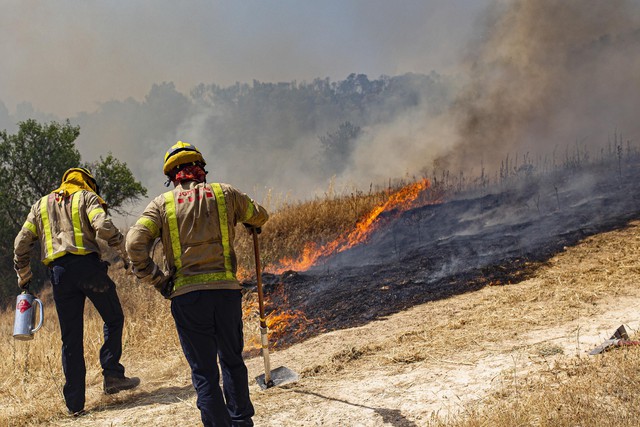 Cháy rừng lan rộng tại Tây Ban Nha - Ảnh 6.